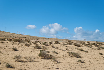 Fuerteventura