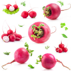 Collections of Red radish Isolated on white background