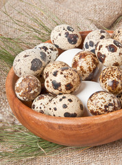 Obraz premium chicken and quail eggs in a wooden bowl 
