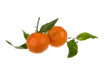 Clementinen mit Blättern freigestellt