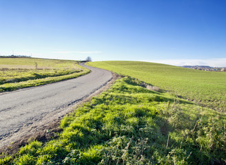 Road in the fields