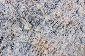 Stone texture