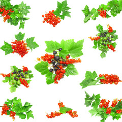 Collage of berrys on white background. Isolated