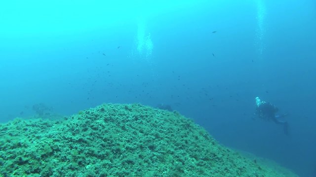 subacquei in immersione