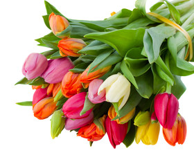 Obraz premium bouquet of spring tulips