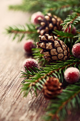 Close up of spruce twigs and pine cones for christmas