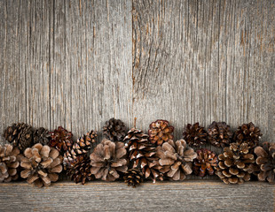 Wood background with pine cones