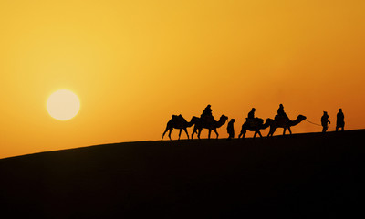 Silhouette of a camel caravan in the desert of Sahara at sunset.