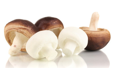 Fresh mushrooms isolated on white