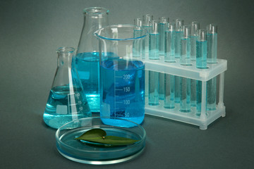 test-tubes and leaf tested in petri dish on grey background