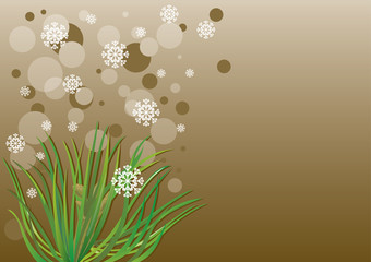 Obraz premium card with fur-tree