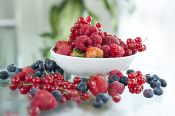 Frutti di Bosco