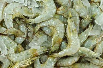 Fresh shrimp in supermarket.