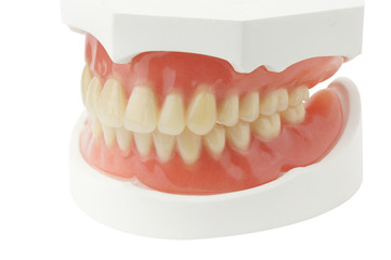 Denture  with clipping path on white background