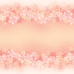 Naklejka na ściany i meble Sakura