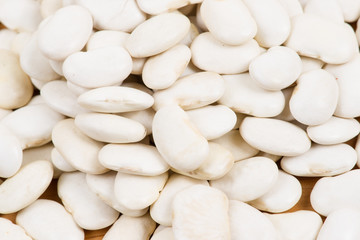 white lima Bean background
