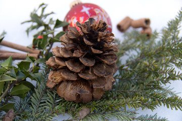 Fir with christmas decoration