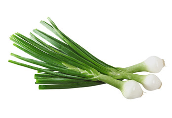 Cebollitas Onion