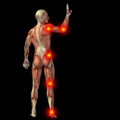 High resolution conceptual 3D human with inflammation