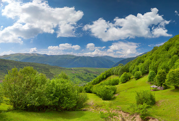 Fototapeta na wymiar Landscape of the summer mountains with fresh green leaves