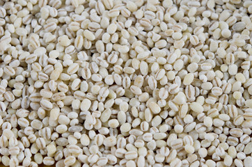barley  background