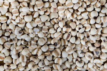  chinese pearl  barley