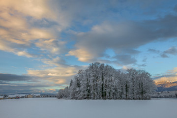 Winter Landscape, Switzerland