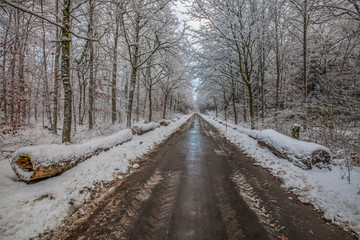 Swiss Rural Road Winter