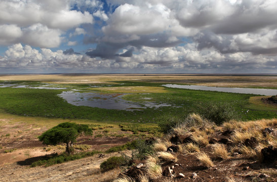 Amboseli national park - Kenya