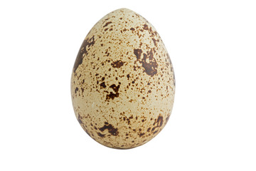 quail egg on white