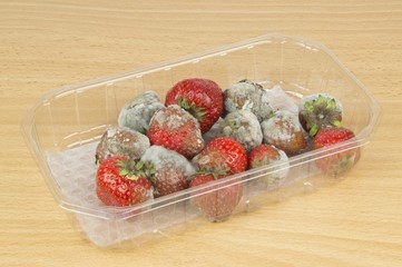 A packet of rotten mouldy strawberries on a table top