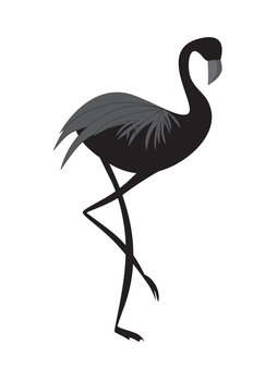 flamingo black  vector