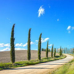 Tuscany, Cypress Trees white road landscape, Italy, Europe.