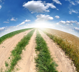 Field trip - fisheye shot