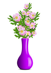 dog rose in the purple vase