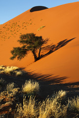 Sand dune at Sossusvlei in the Namib Desert - Namibia