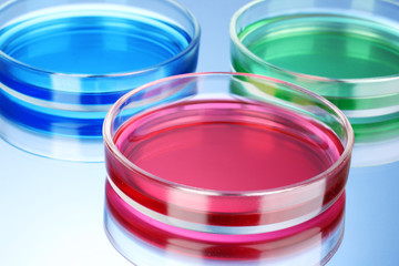color liquid in petri dishes on blue background