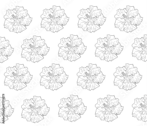 Free Free 178 Hibiscus Flower Outline Svg SVG PNG EPS DXF File