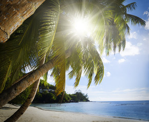 White coral beach sand and azure indian ocean.