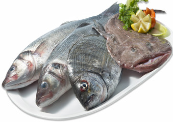 choice of fresh raw fish