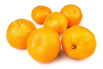 tangerine group