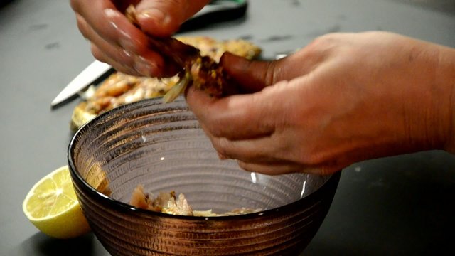 Clupea harengus Atlantischer Hering Śledź atlantycki