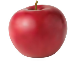 A red apple vector on white background