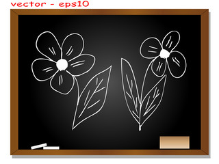 Vector blackboard and white flowers