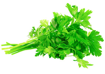 Fresh parsley on white background. Isolated