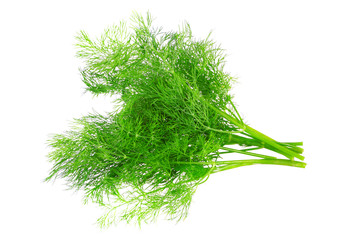 Bunch of dill on white background. Isolated