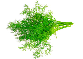 Bunch of dill on white background. Isolated