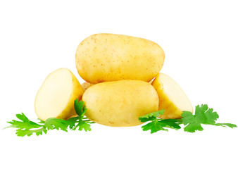Young potatoes, decorating of parsley . Isolated