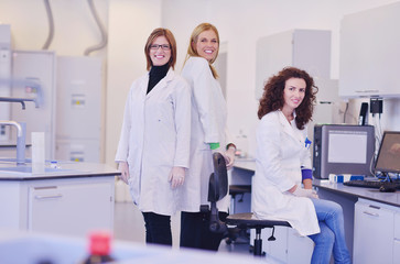 Obraz premium scientists working at the laboratory