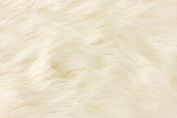 White fur texture, close-up.Useful as background